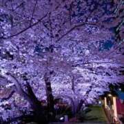 ヒメ日記 2026/04/05 10:36 投稿 森 熟女の風俗最終章 新横浜店