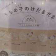 ヒメ日記 2026/09/29 21:31 投稿 ゆみ 人妻の秘密船橋店