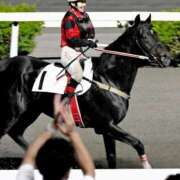 ヒメ日記 2026/10/14 22:31 投稿 ゆみ 人妻の秘密船橋店