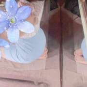 ヒメ日記 2025/04/03 09:37 投稿 かな REDROOM (レッドルーム)