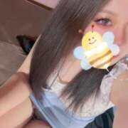 ヒメ日記 2025/04/16 08:39 投稿 かな REDROOM (レッドルーム)