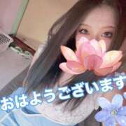 ヒメ日記 2025/05/12 10:45 投稿 かな REDROOM (レッドルーム)