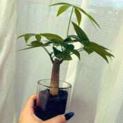 ヒメ日記 2025/09/29 18:01 投稿 かな REDROOM (レッドルーム)