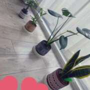 ヒメ日記 2025/10/04 12:52 投稿 かな REDROOM (レッドルーム)