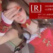 ヒメ日記 2025/11/15 17:41 投稿 かな REDROOM (レッドルーム)