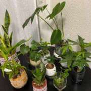 ヒメ日記 2025/11/22 18:55 投稿 かな REDROOM (レッドルーム)