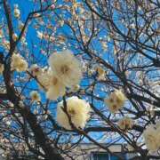 ゆりえ ゆりえです🌼 イエローキャブ