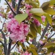 ヒメ日記 2025/04/25 22:30 投稿 Ren（れん） AMATERAS(アマテラス)(福山)