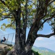 ヒメ日記 2025/05/09 11:08 投稿 Ren（れん） AMATERAS(アマテラス)(福山)