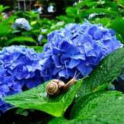 ヒメ日記 2025/06/09 09:54 投稿 Ren（れん） AMATERAS(アマテラス)(福山)