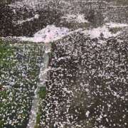 ヒメ日記 2025/04/10 17:16 投稿 Ｋotoha（ことは） AMATERAS(アマテラス)(福山)