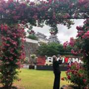 ヒメ日記 2025/07/05 18:21 投稿 Ｋotoha（ことは） AMATERAS(アマテラス)(福山)