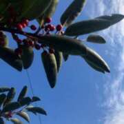 Ｋotoha（ことは） ※無題 AMATERAS(アマテラス)(福山)