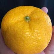 ヒメ日記 2025/12/23 10:21 投稿 Ｋotoha（ことは） AMATERAS(アマテラス)(福山)