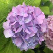 ヒメ日記 2026/06/09 10:22 投稿 Ｋotoha（ことは） AMATERAS(アマテラス)(福山)