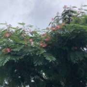 ヒメ日記 2026/06/23 10:24 投稿 Ｋotoha（ことは） AMATERAS(アマテラス)(福山)