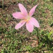 ヒメ日記 2026/10/07 20:47 投稿 Ｋotoha（ことは） AMATERAS(アマテラス)(福山)