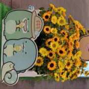 ヒメ日記 2025/07/27 11:10 投稿 Fuuka(ふうか) AMATERAS(アマテラス)(福山)