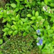 ヒメ日記 2025/08/22 10:59 投稿 Fuuka(ふうか) AMATERAS(アマテラス)(福山)