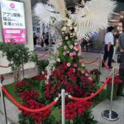 ヒメ日記 2026/05/15 20:06 投稿 Fuuka(ふうか) AMATERAS(アマテラス)(福山)