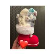 ヒメ日記 2024/12/24 10:46 投稿 Ｋayano（かやの） AMATERAS(アマテラス)(福山)