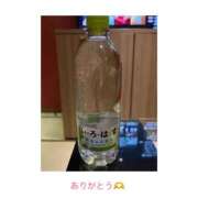 ヒメ日記 2025/11/15 12:47 投稿 Ｋayano（かやの） AMATERAS(アマテラス)(福山)