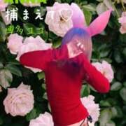 ヒメ日記 2026/05/22 11:49 投稿 アンナ 【福岡デリヘル】20代・30代★博多で評判のお店はココです！