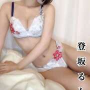 ヒメ日記 2025/04/29 09:20 投稿 登坂るん AROMAGE（アロマージュ）