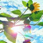 ヒメ日記 2025/08/20 23:10 投稿 なずな アイスキャンディーラブ