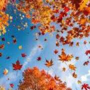 ヒメ日記 2025/09/12 22:50 投稿 なずな アイスキャンディーラブ