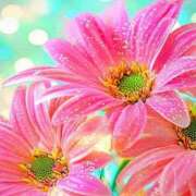 ヒメ日記 2026/03/30 23:53 投稿 みどり アイスキャンディーラブ