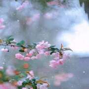 みどり ドキドキの時間でお待ちしてます💖 アイスキャンディーラブ