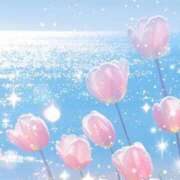 ヒメ日記 2026/04/07 20:03 投稿 みどり アイスキャンディーラブ