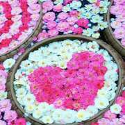 ヒメ日記 2025/11/08 21:10 投稿 かなみ アイスキャンディーラブ