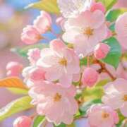 ヒメ日記 2026/02/12 21:53 投稿 かなみ アイスキャンディーラブ