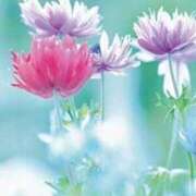 ヒメ日記 2025/10/08 17:10 投稿 かおり アイスキャンディーラブ