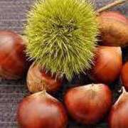 ヒメ日記 2025/09/17 17:10 投稿 みきの アイスキャンディーラブ