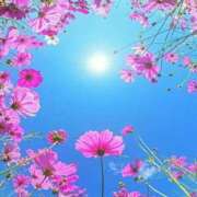 ヒメ日記 2026/04/01 15:53 投稿 みきの アイスキャンディーラブ