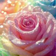 ヒメ日記 2025/12/17 18:35 投稿 あいな アイスキャンディーラブ