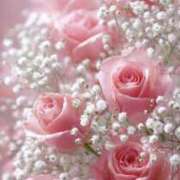 ヒメ日記 2026/03/10 00:33 投稿 あいな アイスキャンディーラブ