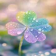 ヒメ日記 2026/03/20 23:43 投稿 あいな アイスキャンディーラブ