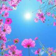 ヒメ日記 2026/02/23 12:33 投稿 ゆかり アイスキャンディーラブ