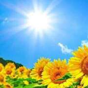 ヒメ日記 2025/08/06 22:35 投稿 あんり アイスキャンディーラブ