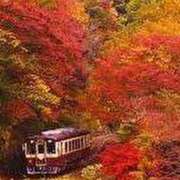 ヒメ日記 2025/09/14 21:35 投稿 あんり アイスキャンディーラブ