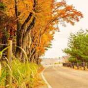 ヒメ日記 2025/10/17 18:45 投稿 せつな アイスキャンディーラブ