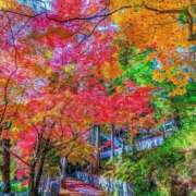 ヒメ日記 2025/12/19 21:35 投稿 せつな アイスキャンディーラブ