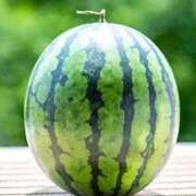 ヒメ日記 2025/08/06 22:10 投稿 あげは アイスキャンディーラブ