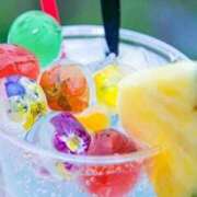 ヒメ日記 2025/08/09 23:35 投稿 あげは アイスキャンディーラブ