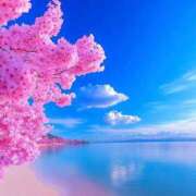 ヒメ日記 2026/02/14 16:33 投稿 あげは アイスキャンディーラブ