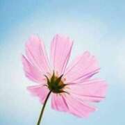 ヒメ日記 2026/02/02 17:33 投稿 さりあ アイスキャンディーラブ